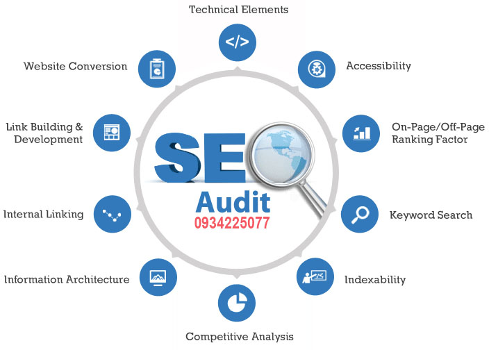 seo_audit