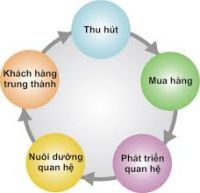 Khái Niệm và Tầm Quan Trọng của CLO trong Kinh Doanh Online